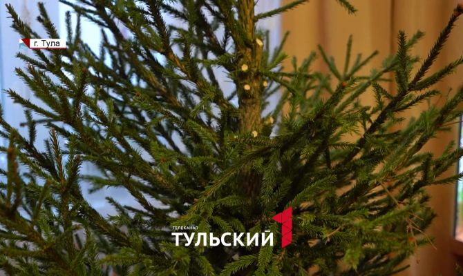 Как тулякам выкинуть ёлку и не нарваться на штраф
