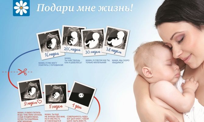 Будущие мамы в Тульской области могут бесплатно проконсультироваться с психологом