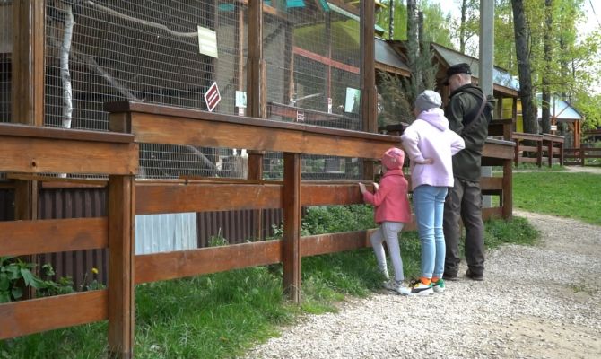 Как тулякам приучить своих детей к заботе о домашних животных