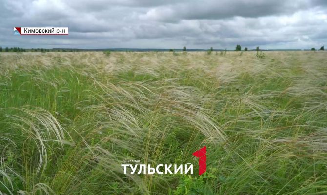 Ученые выяснили, как выглядело Куликово поле 650 лет назад