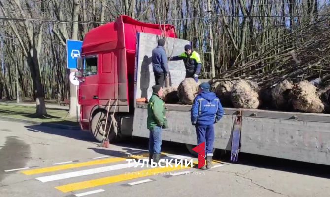 В Центральном парке Тулы начали высаживать декоративные рябины