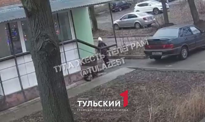 В Богородицке на девочку напала собака: глава СК поручил возбудить уголовное дело