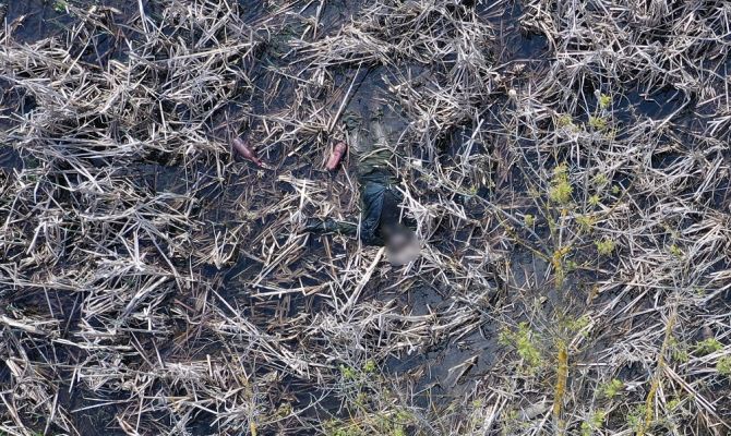 В болоте под Узловой нашли труп 44-летнего мужчины