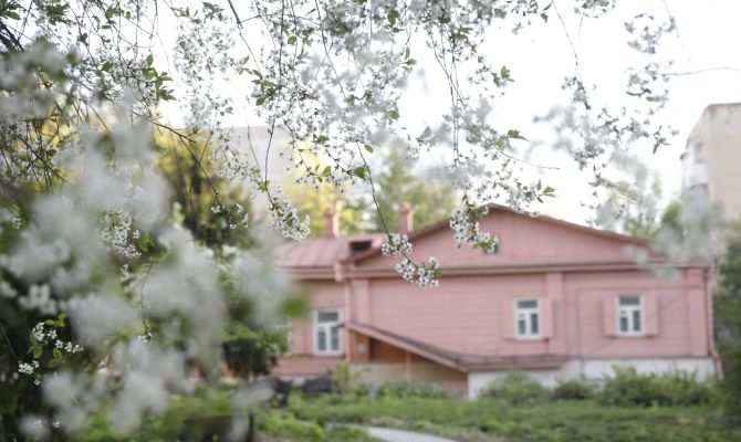 Мишки со всего мира приехали в Тулу на выставку в Дом-музей Вересаева