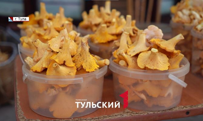 Эксперт опровергла популярный способ проверки грибов на безопасность