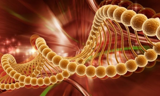 Ученые назвали способ предотвратить раннюю смерть