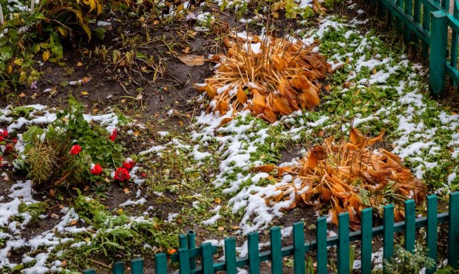 Ночью в Туле ожидается повышенное давление