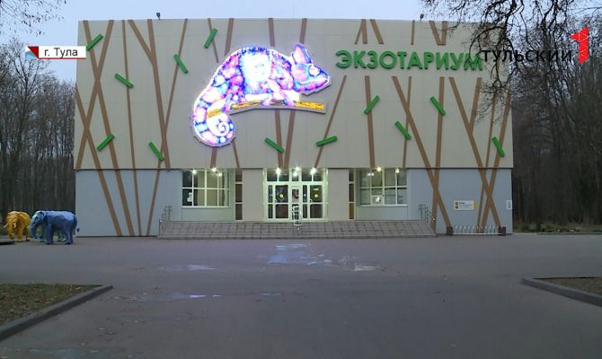 От изготовления поделок из змеиной кожи до скандинавской ходьбы: Тульский экзотариум станет известен на всю страну