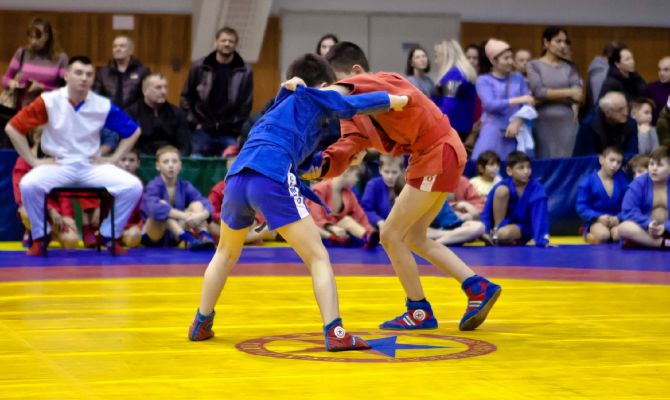 Сборная Тульской области победила в III Межрегиональном турнире по самбо