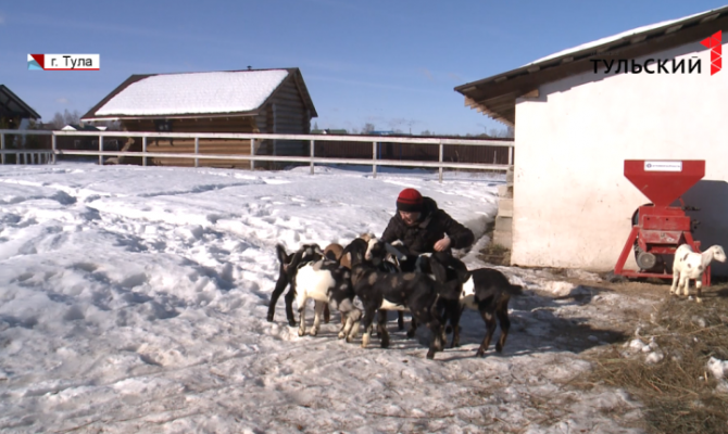 Каковы перспективы поддержки малого бизнеса в Тульской области