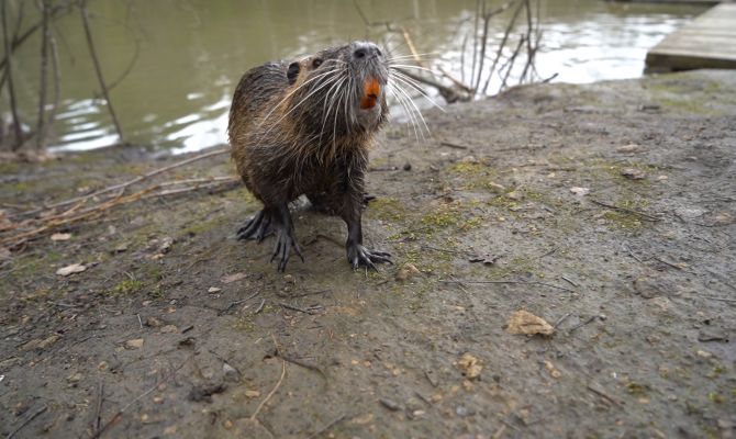 Из каменных джунглей на природу: как в Тульской области развивают агротуризм