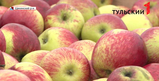 В Тульской области полным ходом идет уборка урожая