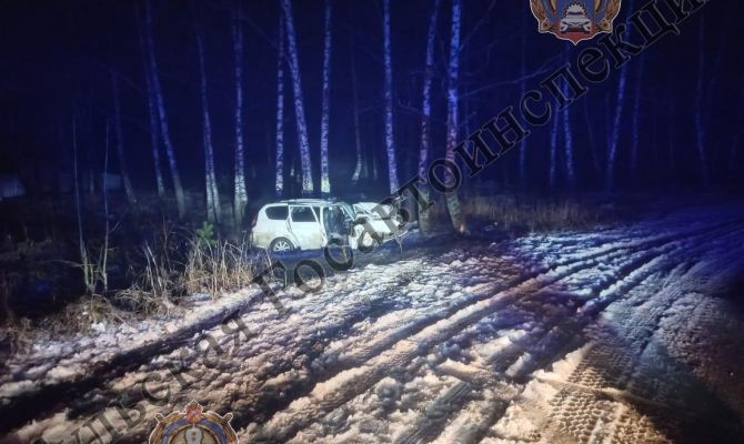 Под Алексином Lada Priora вылетела в кювет и врезалась в дерево