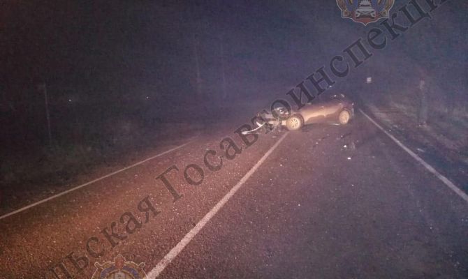 В ДТП под Алексином пострадали два человека