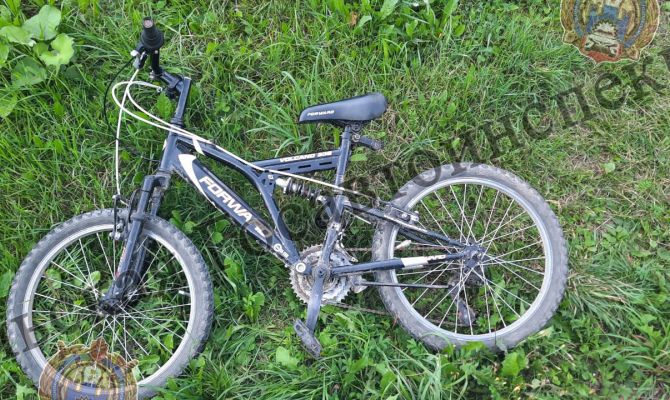 В Тульской области под колеса автомобиля попал 7-летний мальчик