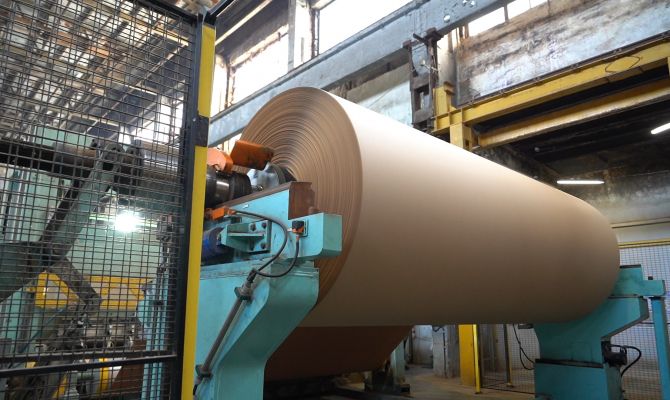 «Хватит на все ЦФО»: почему тулякам не стоит опасаться дефицита бумаги