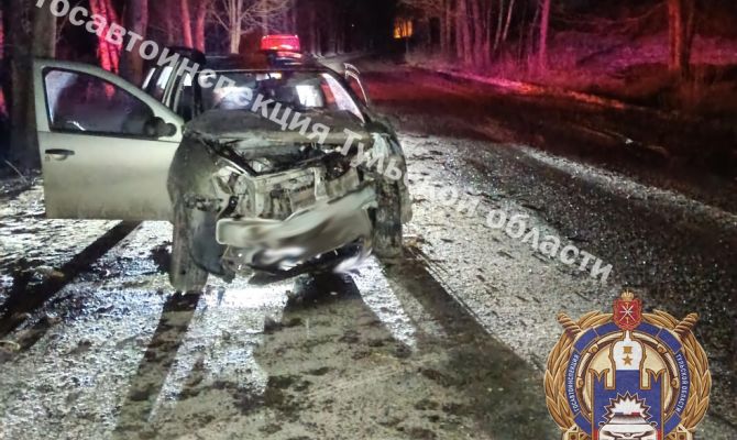  В Алексине пьяный водитель съехал в кювет и врезался в дерево