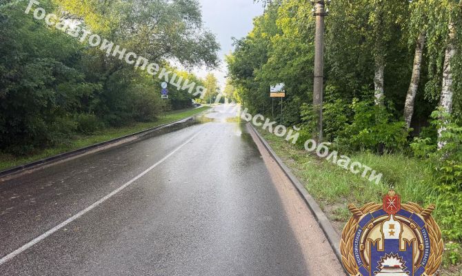 В Алексине 17-летний подросток перевернулся на мопеде