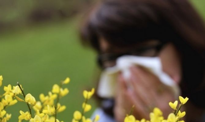 Российский минздрав объяснил, как бороться с аллергией