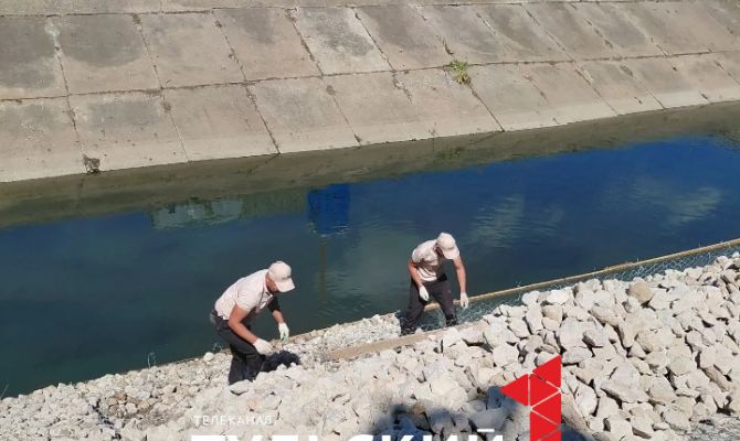 Сквер "Встреча" в Туле благоустроят к Дню города