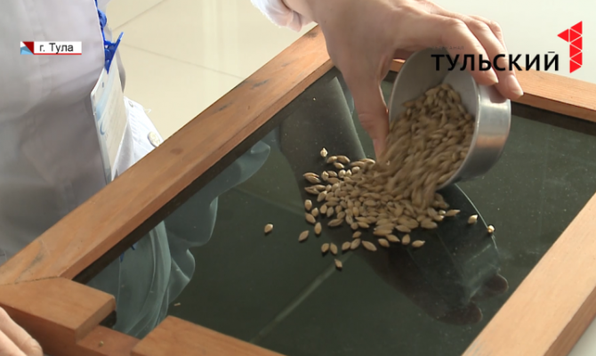 Семена не по ГОСТу определяют в тульской фитосанитарной испытательной лаборатории