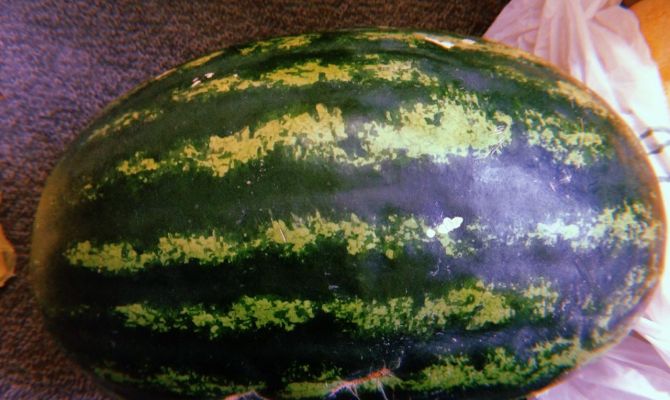 Эксперты рассказали, кому противопоказано есть арбузы