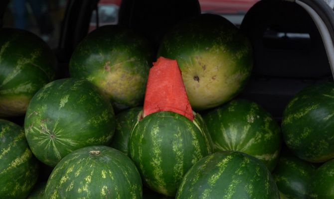В Туле обнаружены арбузы-нелегалы без документов