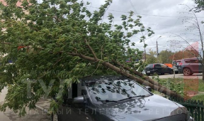 6 тысяч туляков остались без электричества из-за сильного ветра