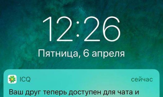 Советник президента предложил общаться в ICQ, когда закроют Telegram