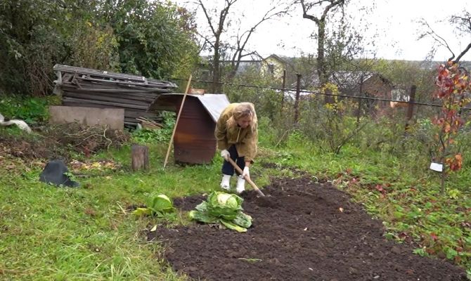 Успеть до первого снега: как правильно подготовить участок к зиме