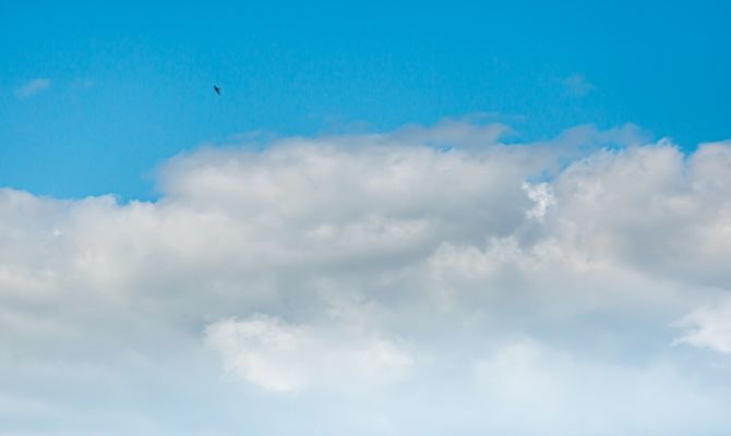 Сегодня в Туле усилится жара