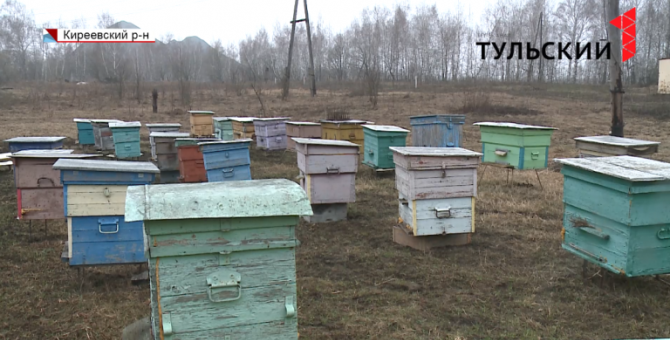 Как тульские пчеловоды готовятся к предстоящему сезону