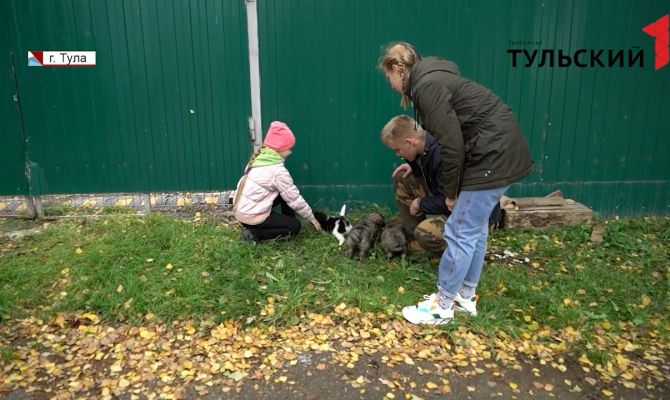 В Туле для школьников провели урок добра и отзывчивости в приюте для бездомных животных