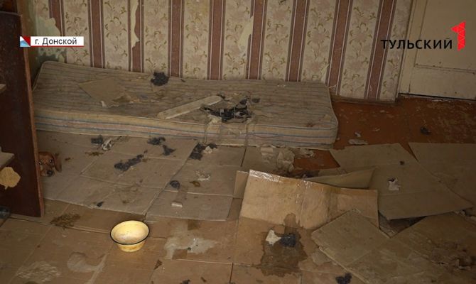 В нечеловеческих условиях: жительница Донского устроила в обычной квартире тюрьму для собак