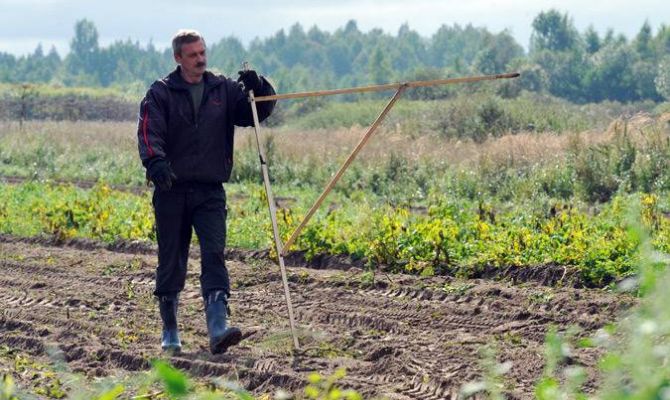 Число туляков, желающих получить бесплатный гектар на Дальнем Востоке, увеличивается