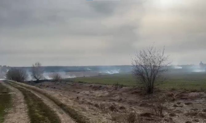 В Тульской области за год стала в 5 раз реже гореть сухая трава