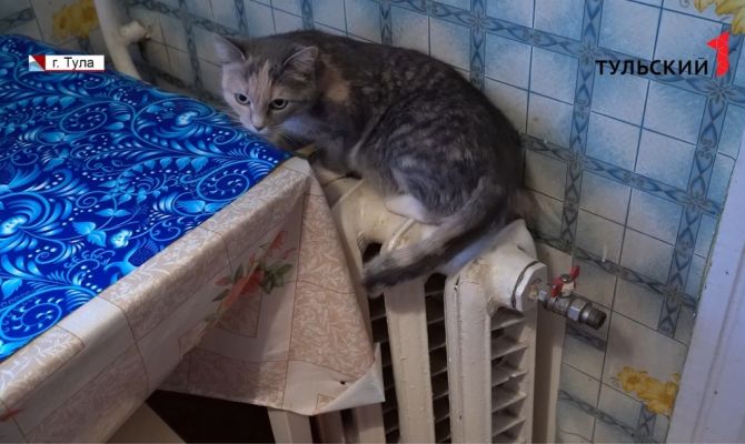 Холод в квартирах туляков: что может быть причиной и куда обращаться за помощью