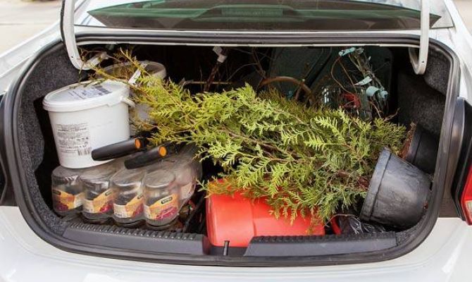 Какие автомобили подходят дачникам