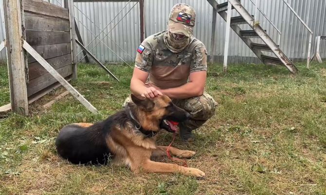 Пес Байкал из зоны СВО встретился со своим хозяином в Туле