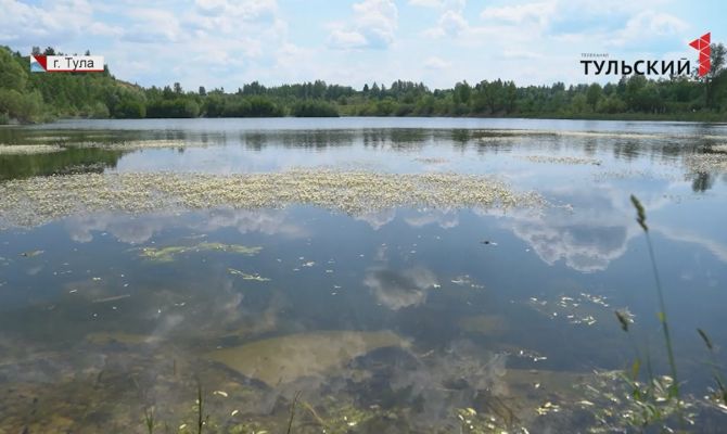 В Туле перекрыли въезд на Барсуковский карьер: кто и почему это сделал