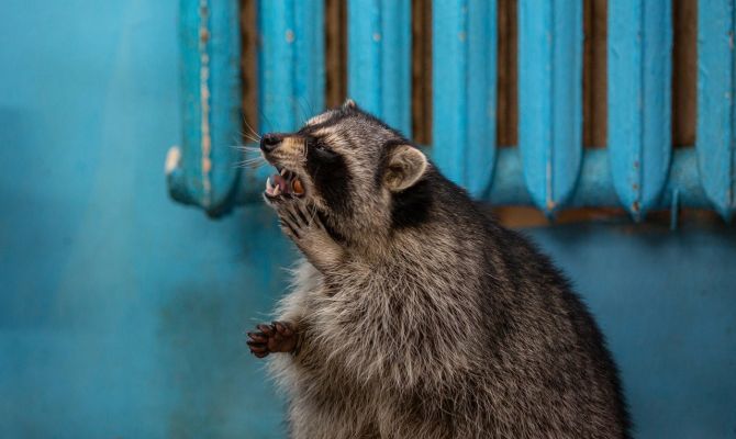 Назван самый проблемный район Тульской области за прошедший отопительный сезон
