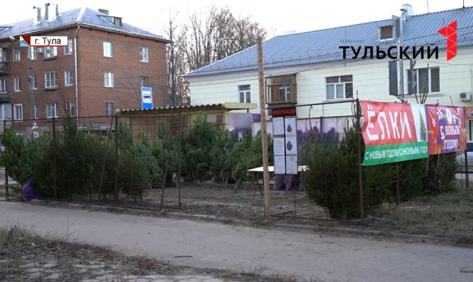 Елочные базары в Туле: что и почем 