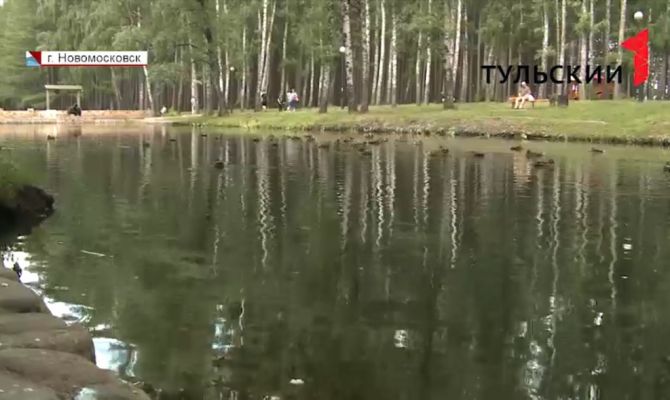 Щедрые жители Новомосковска могут стать причиной гибели уток в местном пруду