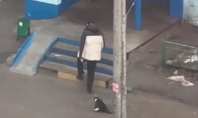 Туляк протащил кота по асфальту на поводке во время прогулки