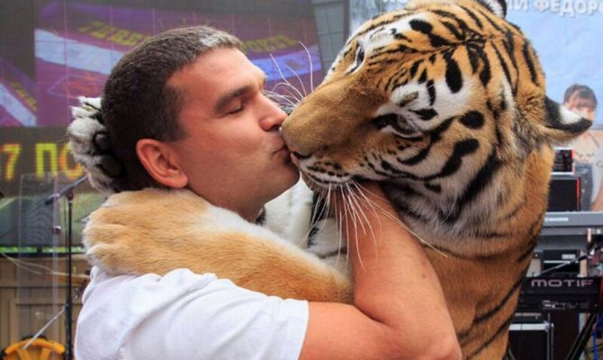 «Instagram» против жестокого обращения с животными