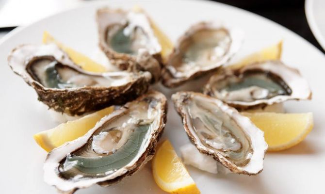 В следующем году туляки смогут поесть дешевых устриц