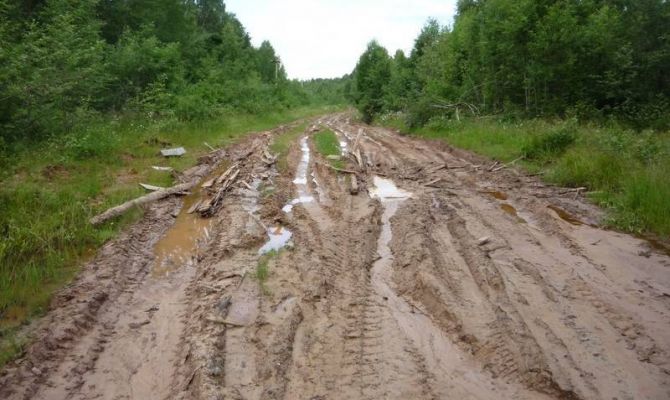 Жители деревни в Суворовском районе посвятили бездорожью музыкальный клип
