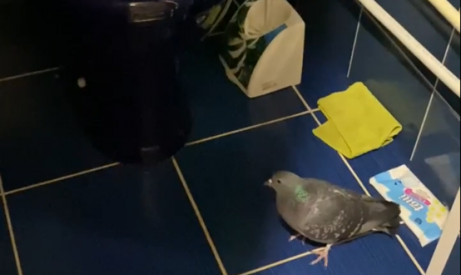 Как тульские следж-хоккеисты готовятся к предстоящим турнирам. РЕПОРТАЖ