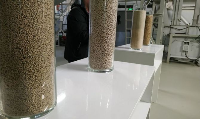 В Тульской области увеличилось производство комбикормов с начала 2025 года