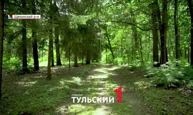 В Тульской области вырос экзотический сад размером с Красную площадь